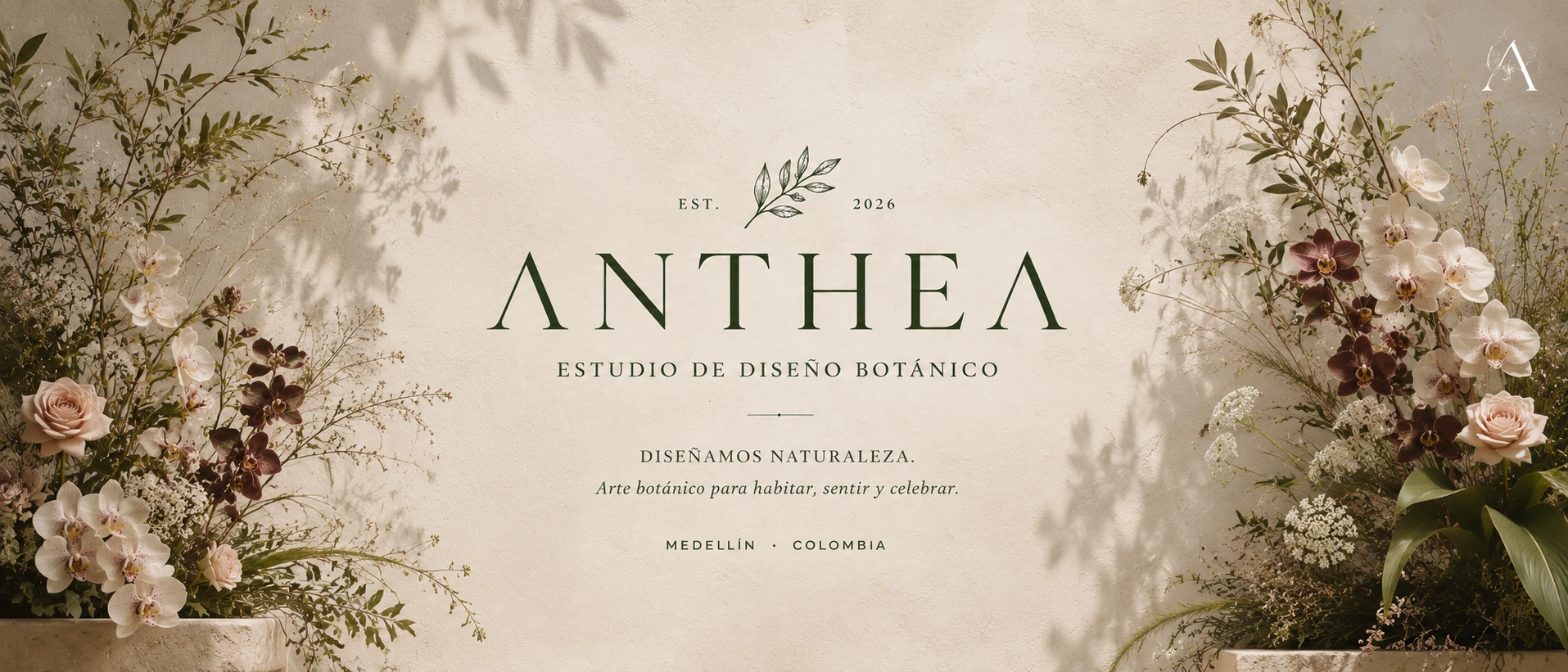 Anthea 1